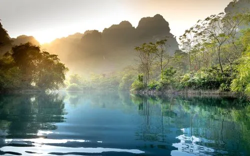 绿色高端高质量
